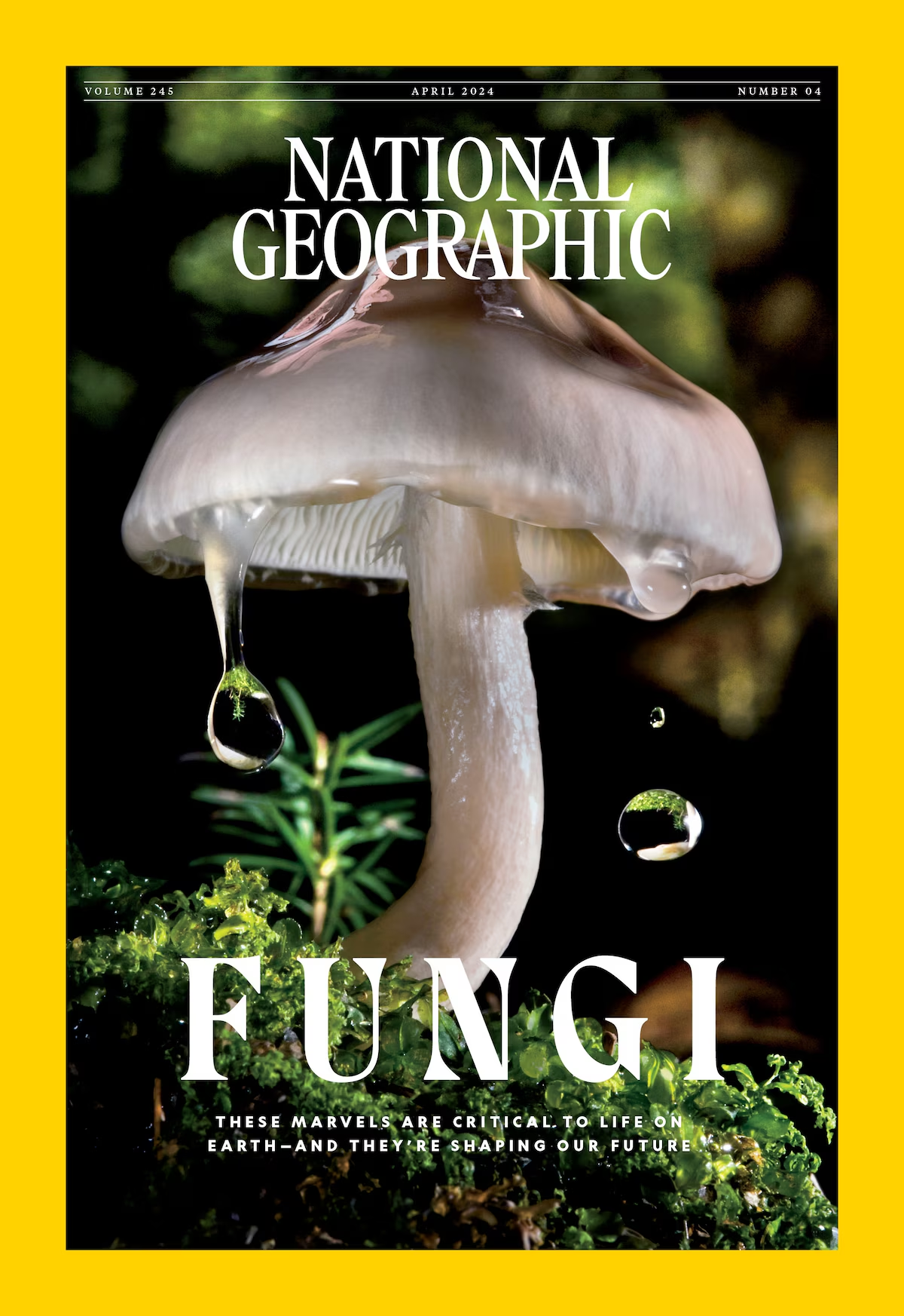 National Geographic USA - 2024-04