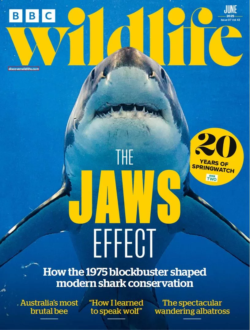 BBC Wildlife Magazine – Vol.43 Issue 07, June 2025