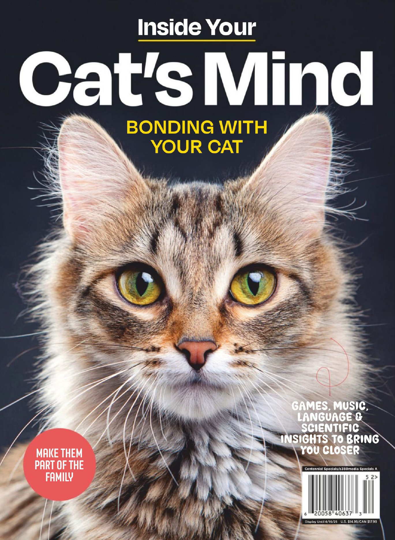 Inside Your Cat’s Mind – Bonding With Your Cat 2025