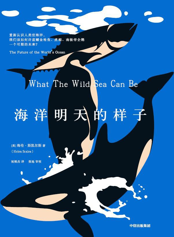 海洋明天的样子