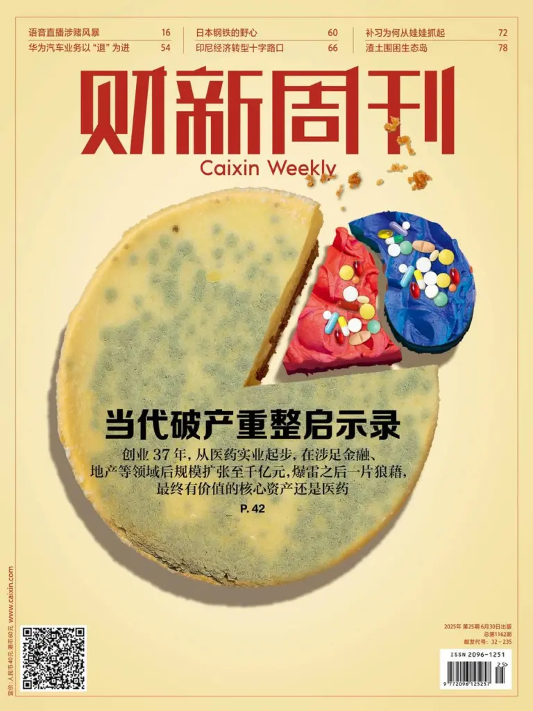 财新周刊-2025年第25期