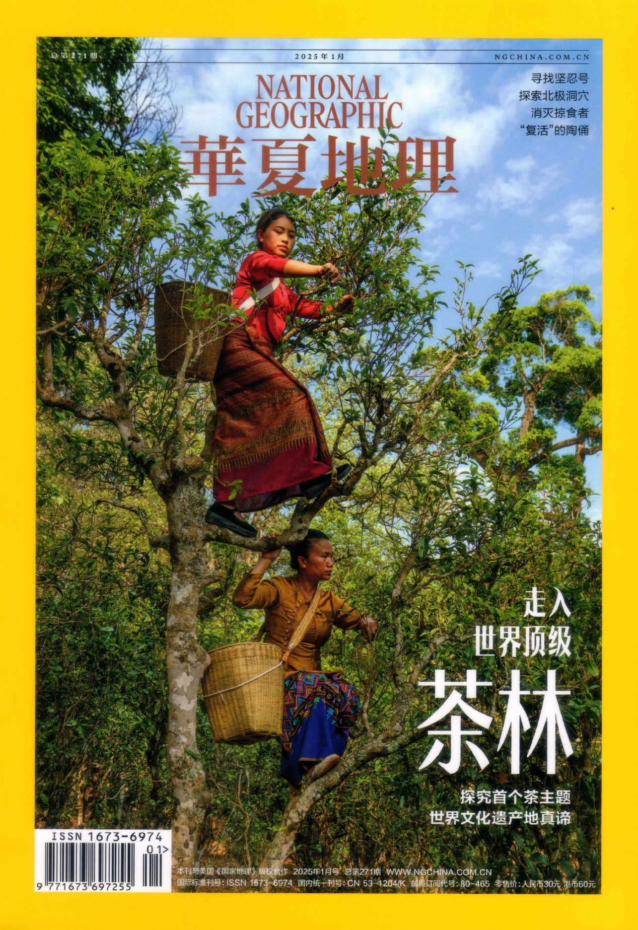 华夏地理2025年01月(景迈古茶林)