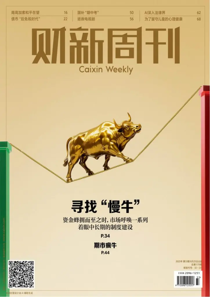 财新周刊-2025年第33期