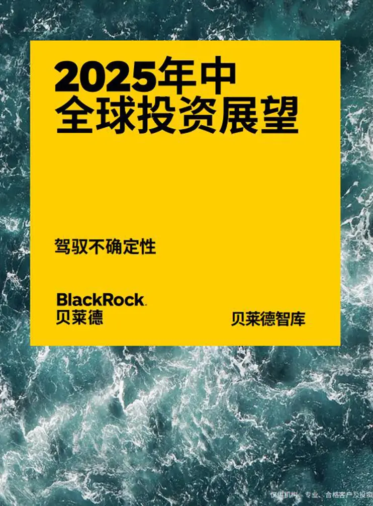 【贝莱德】2025年中全球投资展望：驾驭不确定性